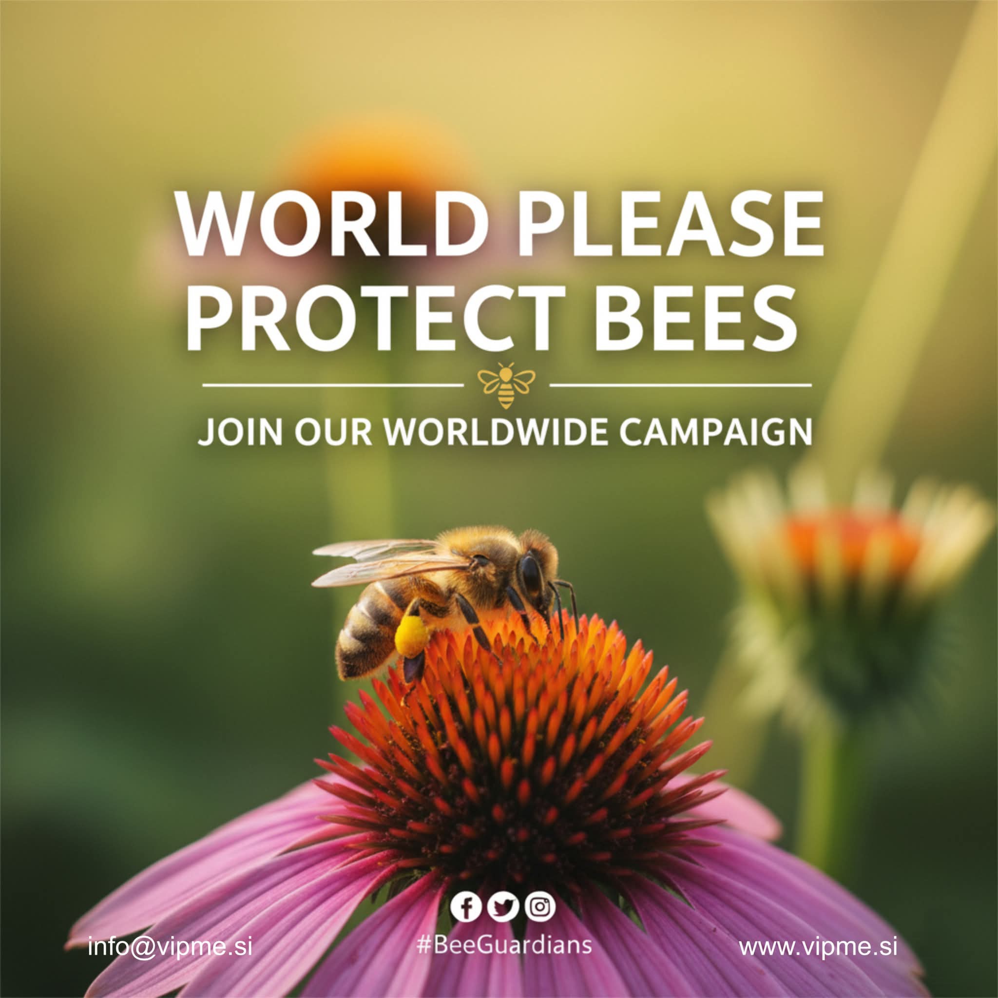 beeguardians-vipme-world-wide-campaign